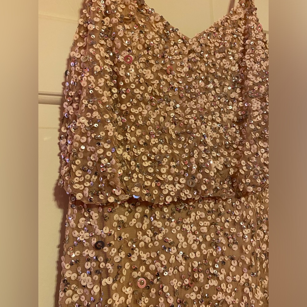 Adrianna Papell sequin blouson bridesmaid gown dress in blush color